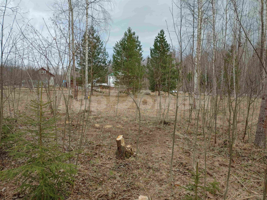 Продажа участка, Тверская