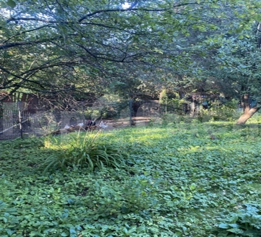 Продажа дома, 380м <sup>2</sup>, 28 сот., Тульская, Россия,   муниципальное образование Заокский