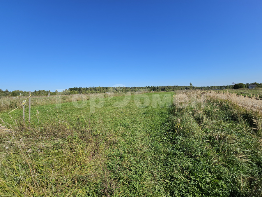 Продажа участка, Сутоки, Россия,   городской округ Шаховская