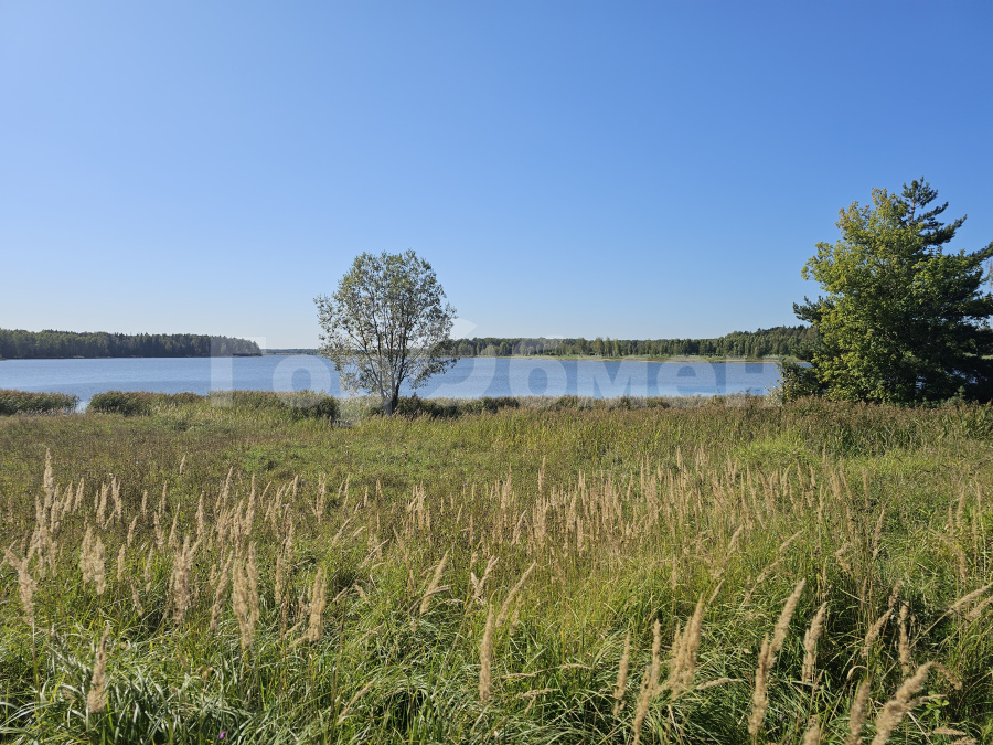 Продажа участка, Сутоки, Россия,   городской округ Шаховская