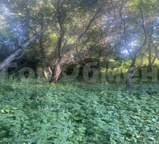 Продажа дома, 380м <sup>2</sup>, 28 сот., Тульская, Россия,   муниципальное образование Заокский