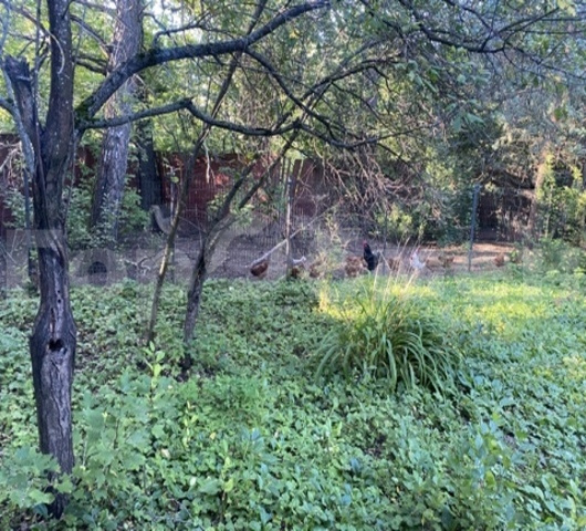 Продажа дома, 380м <sup>2</sup>, 28 сот., Тульская, Россия,   муниципальное образование Заокский