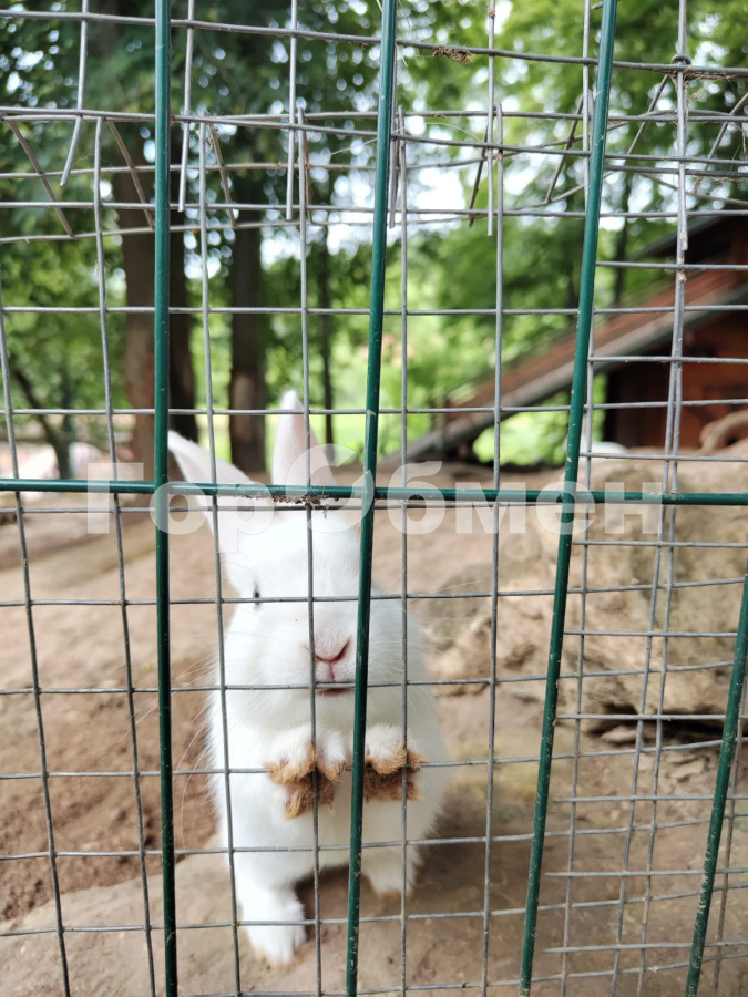 Продажа дома, 134м <sup>2</sup>, 5 сот., Тульская, Россия,   Заокский район