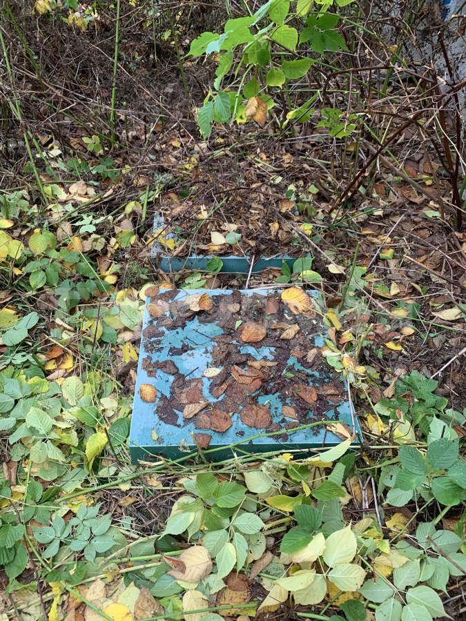 Продажа дома, 95м <sup>2</sup>, 15 сот., Погорелки, Россия,   городской округ Мытищи