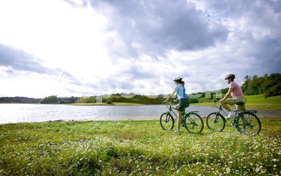 Продажа дома, 180м <sup>2</sup>, 4 сот., Говорово, Россия,    СНТ Мичуринец