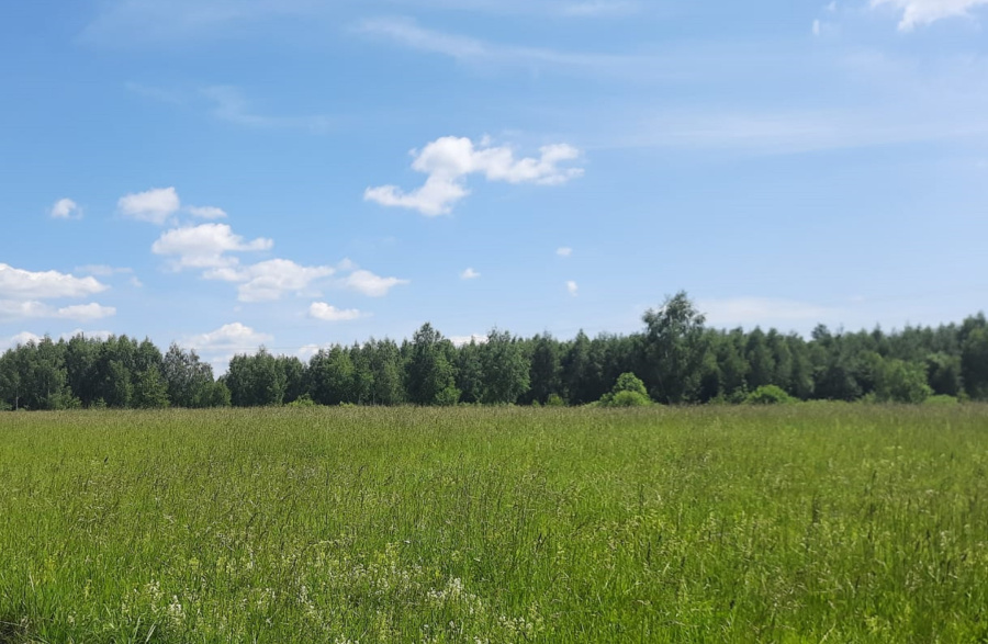 Продажа участка, Меткомелино