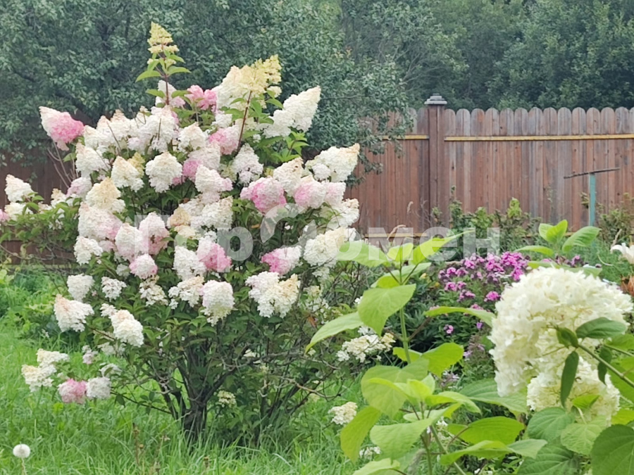 Продажа дома, 133м <sup>2</sup>, 36 сот., Пирогово, Россия,   Заокский район