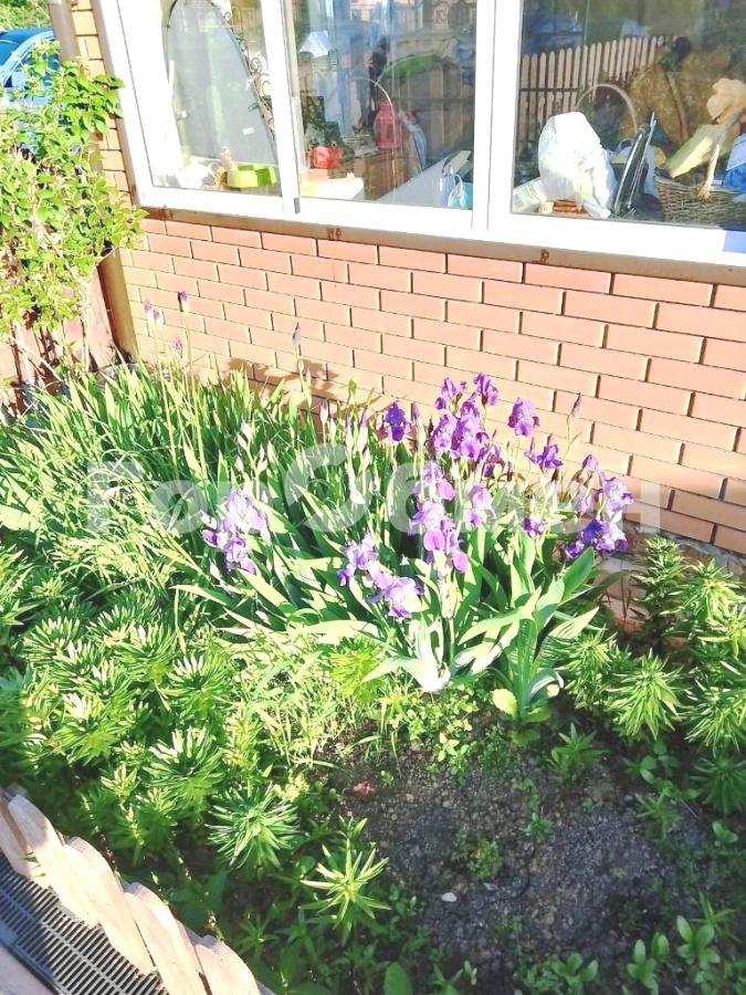 Продажа дома, 91м <sup>2</sup>, 2 сот., Шолохово, Россия,   городской округ Мытищи