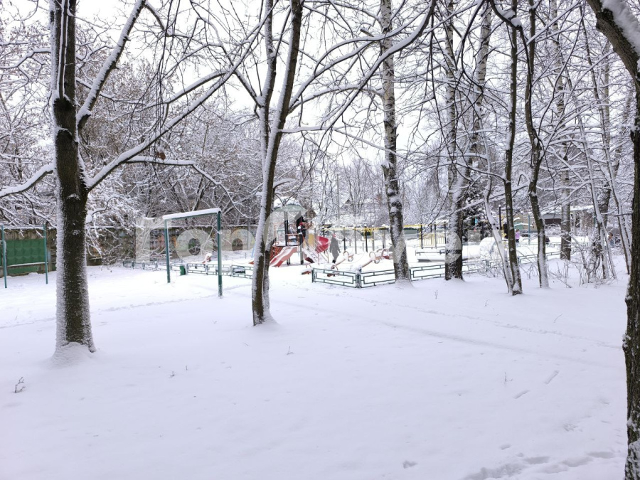 Продажа 1-комнатной квартиры, Пушкино, Россия,    микрорайон Заветы Ильича