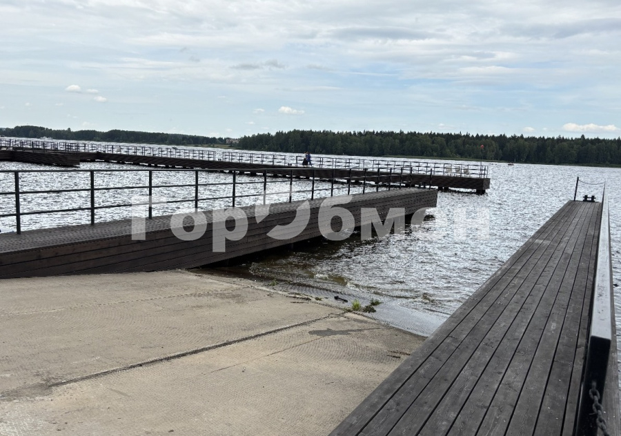 Продажа дома, 750м <sup>2</sup>, 15 сот., Большая Черная, Россия,   городской округ Мытищи