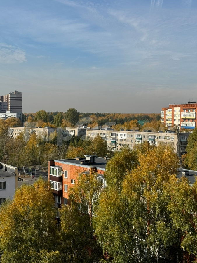 Продажа 1-комнатной квартиры, Пенза, Россия,   городской округ   улица Мира