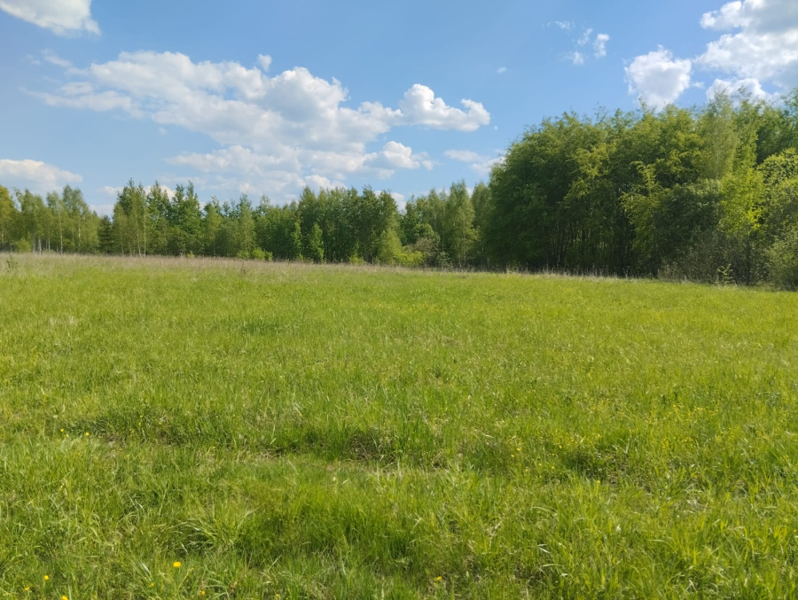 Продажа дома, 60м <sup>2</sup>, 8 сот., Меткомелино, Россия,   Раменский муниципальный округ