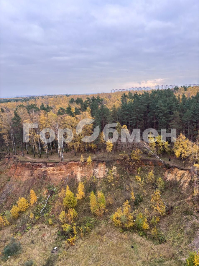 Продажа 1-комнатной квартиры, Котельники, Россия,   городской округ   микрорайон Южный