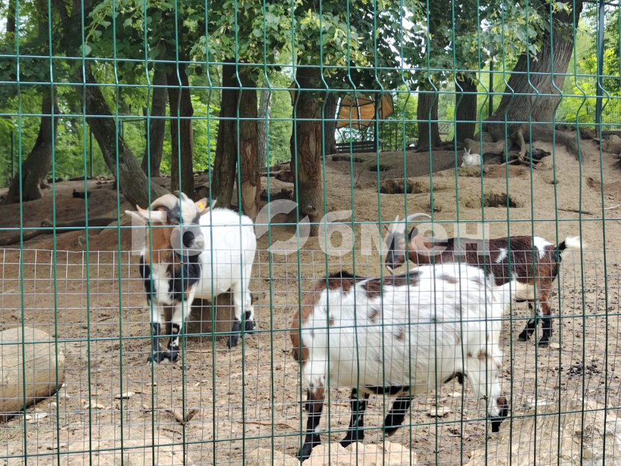 Продажа дома, 134м <sup>2</sup>, 5 сот., Тульская, Россия,   Заокский район