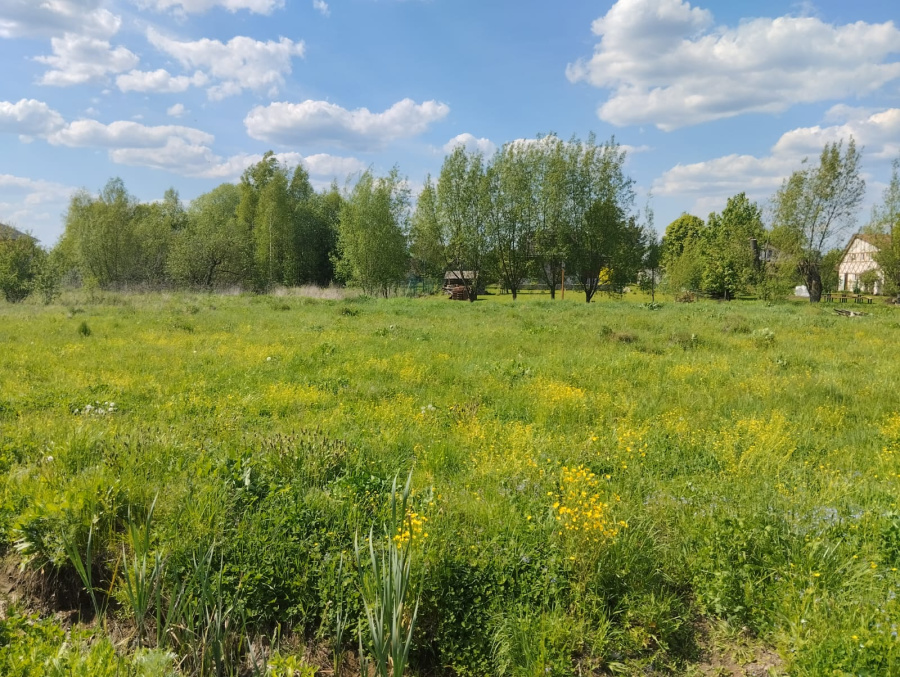 Продажа дома, 60м <sup>2</sup>, 8 сот., Меткомелино, Россия,   Раменский муниципальный округ