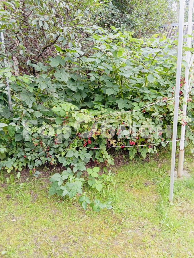 Продажа участка, Московская, Россия,   городской округ Домодедово