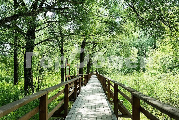 Продажа 3-комнатной квартиры, Москва, Россия,   улица Генерала Глаголева