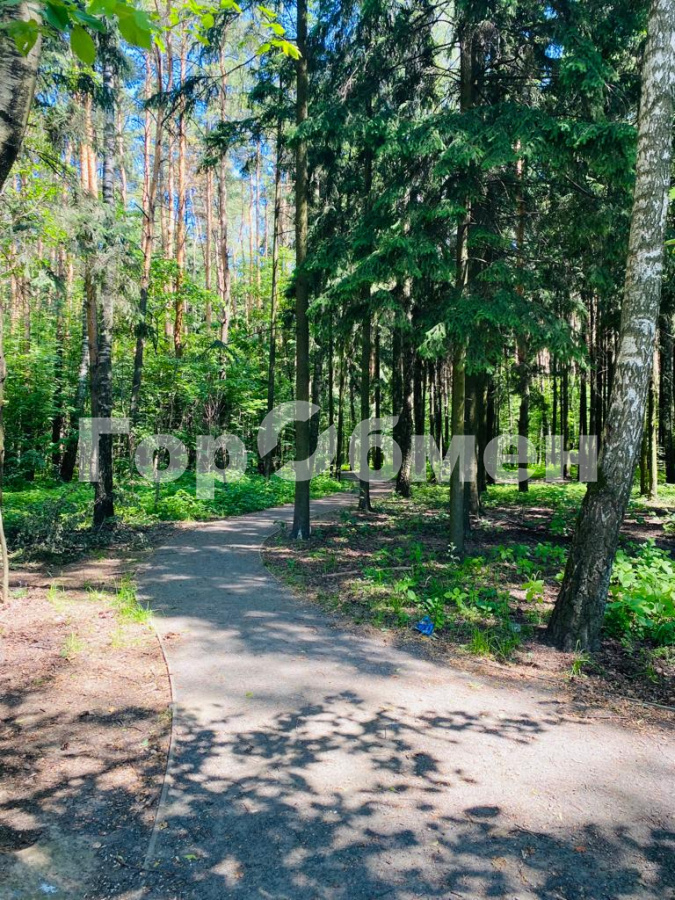 Продажа дома, 350м <sup>2</sup>, 4 сот., Говорово, Россия,    СНТ Мичуринец