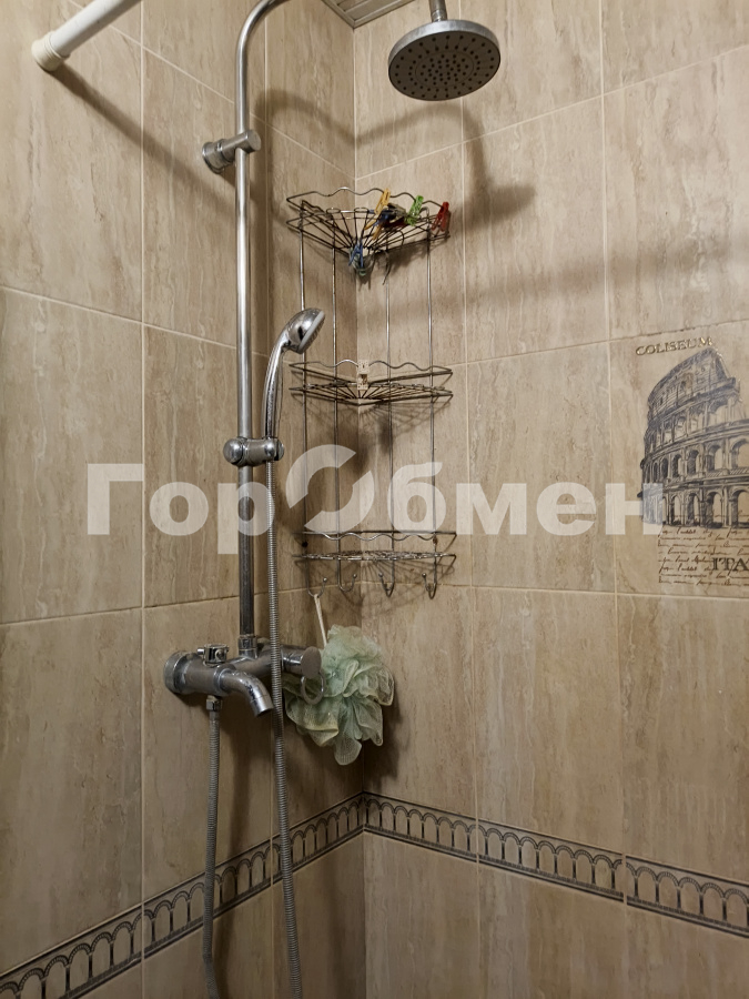 Продажа 1-комнатной квартиры, Большие Жеребцы, Россия,   городской округ Щёлково