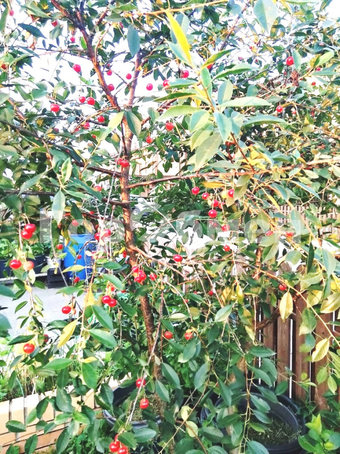 Продажа дома, 91м <sup>2</sup>, 2 сот., Шолохово, Россия,   городской округ Мытищи