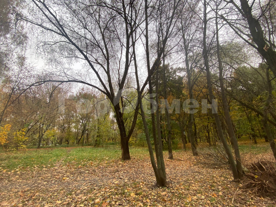 Аренда 1-комнатной квартиры, Москва, Россия,   Филёвский бульвар