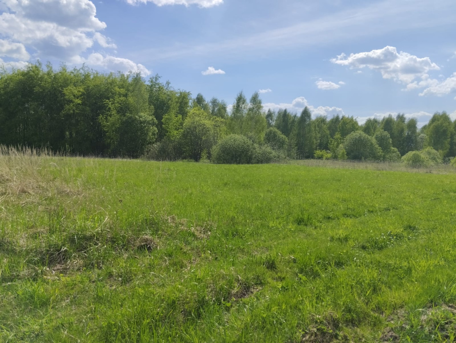 Продажа участка, Меткомелино