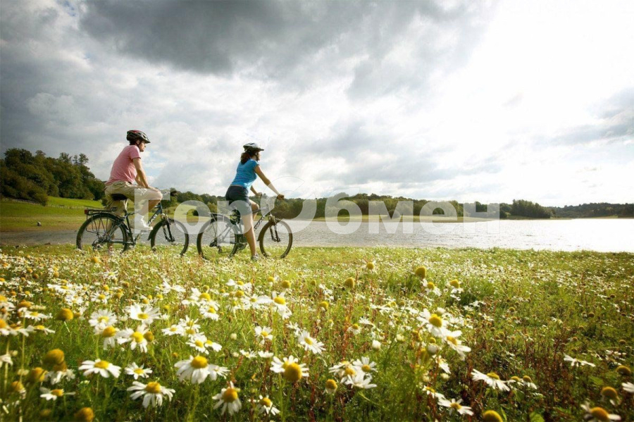 Продажа дома, 169м <sup>2</sup>, 4 сот., Говорово, Россия,    СНТ Мичуринец