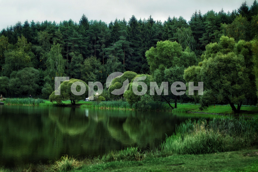 Продажа дома, 180м <sup>2</sup>, 4 сот., Говорово, Россия,    СНТ Мичуринец