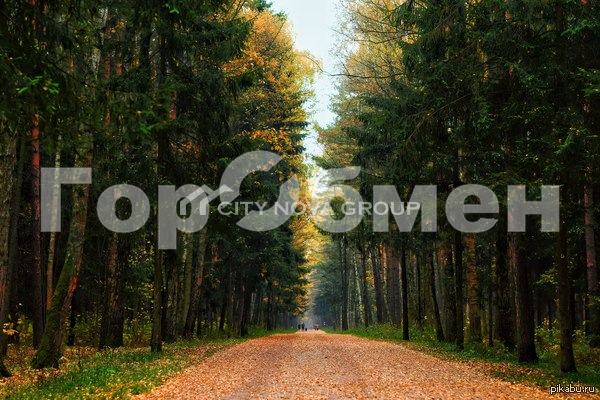 Продажа участка, Говорово, Россия,    СНТ Мичуринец