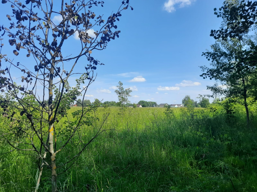 Продажа участка, Меткомелино