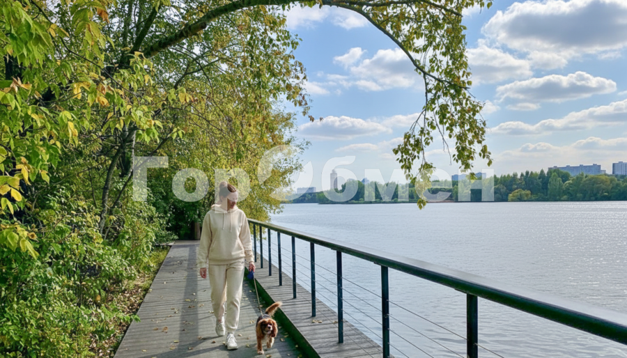 Аренда 1-комнатной квартиры, Москва, Россия,   Волоколамское шоссе